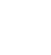 Icon Erkundung